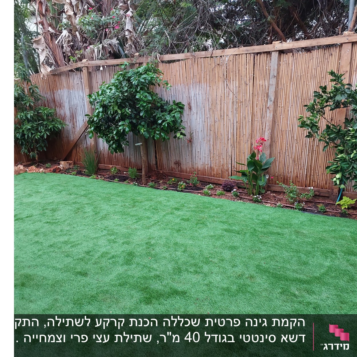 דשא מלאכותי, עצים ופרחים בגינה קטנה עם גדר במבוק.